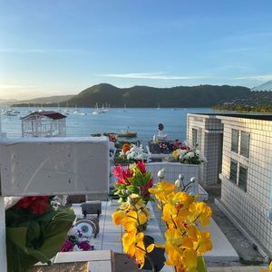 Meet your Posher, Alison